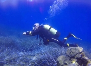 米兰体育app-巴西水上项目中实现多面突破