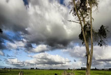 米兰体育入口-蛰伏与逆袭：沃特福德大黄蜂的英超进化论