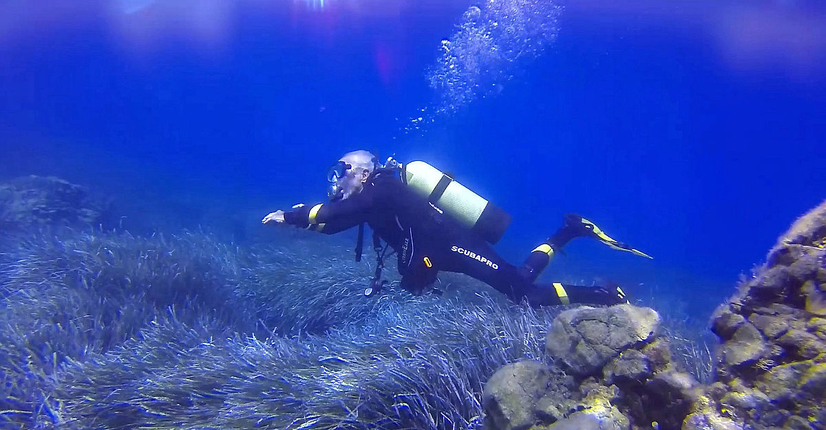 巴西水上项目中实现多面突破